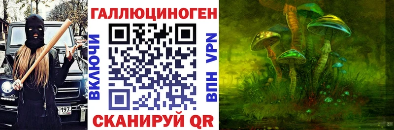 Псилоцибиновые грибы Psilocybe  где продают   Нытва 